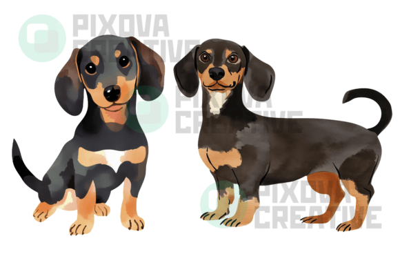 Download Sausage Dogs 2 Graphic Bundle PNG - Graphic bundle Collection