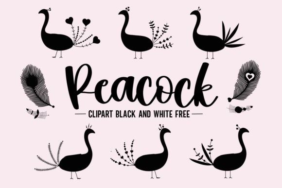 Download Peacock Clipart Black and White Free - Black and white Collection