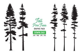 Download Tall Pine Tree Vector Graphic Bundle - Graphic bundle Collection