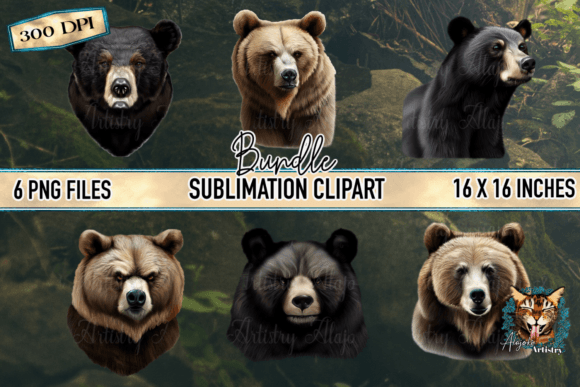 Download Realistic Bear Graphic Bundle - Graphic bundle Collection